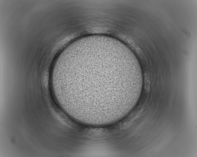 X0000113300631200910131048
