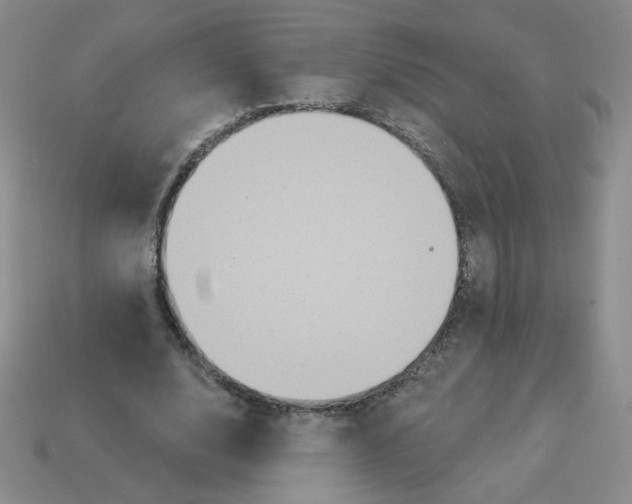 X0000113300632200910131048