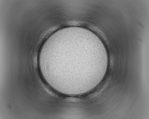 X0000113300633200910131048