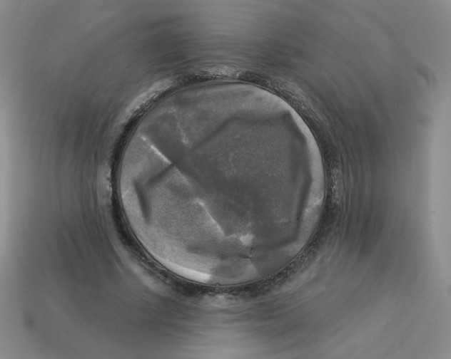 X0000113300634200910131048