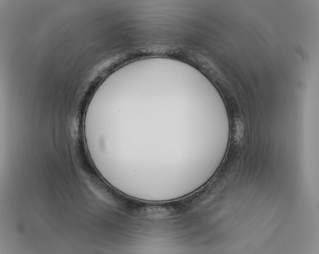 X0000113300636200910131048