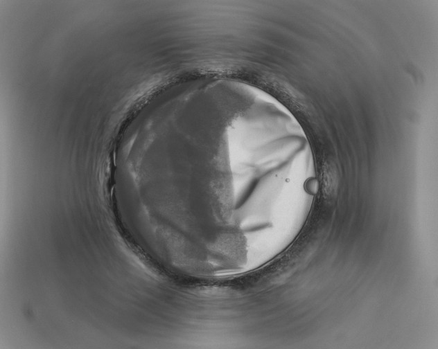 X0000113300637200910131048