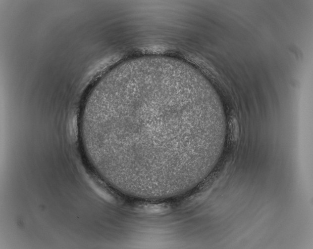 X0000113300638200910131048