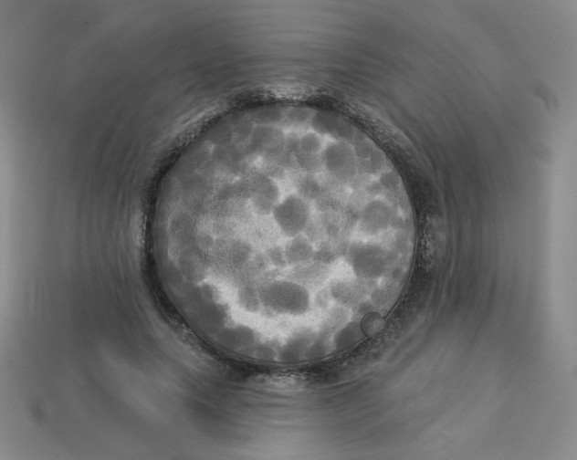 X0000113300639200910131048