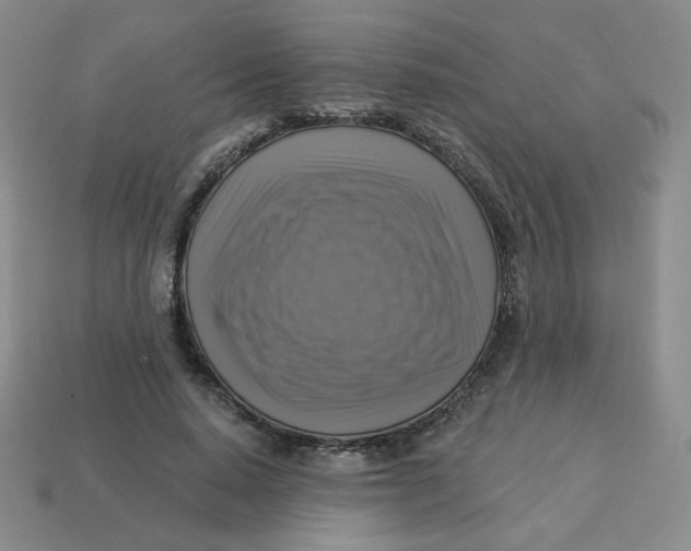 X0000113300640200910131048