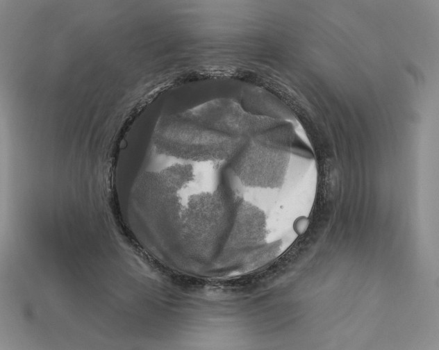 X0000113300641200910131048