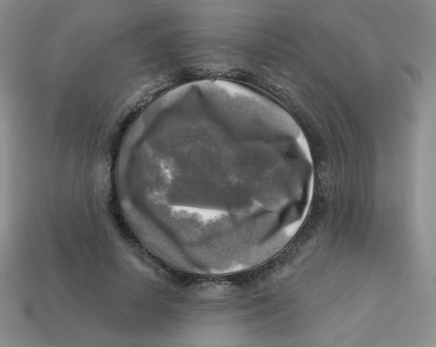 X0000113300642200910131048