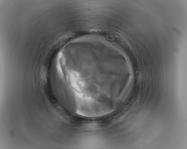X0000113300643200910131048