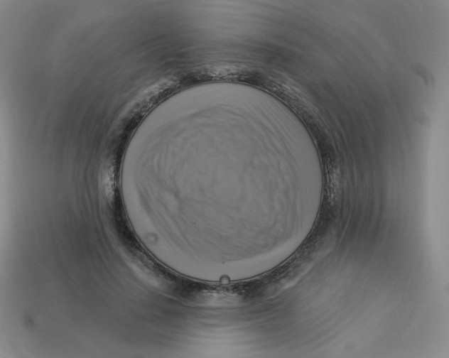 X0000113300644200910131048