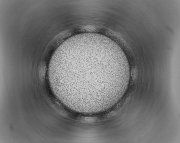 X0000113300645200910131048