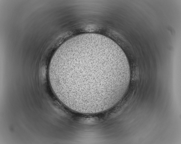 X0000113300646200910131048