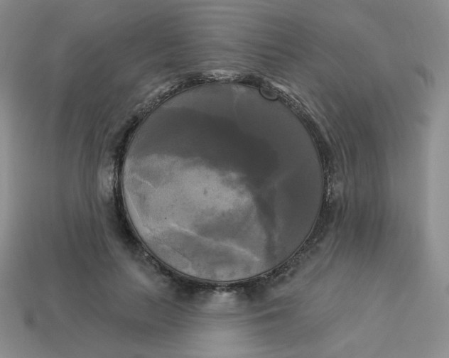 X0000113300647200910131048