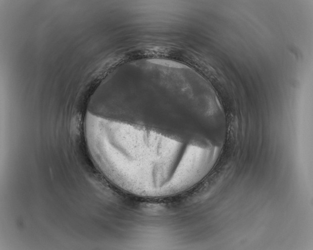 X0000113300649200910131048