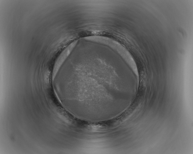 X0000113300650200910131048
