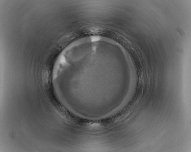 X0000113300651200910131048