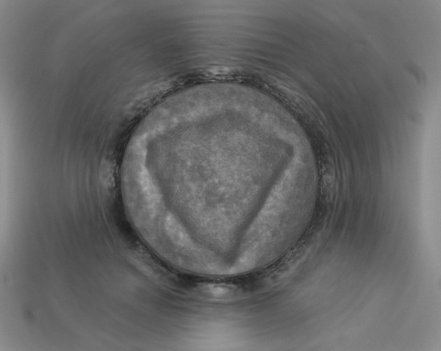 X0000113300654200910131048