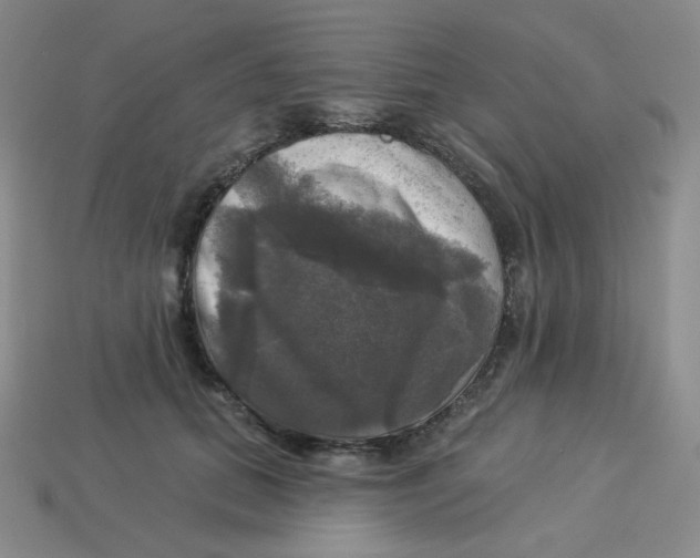 X0000113300655200910131048