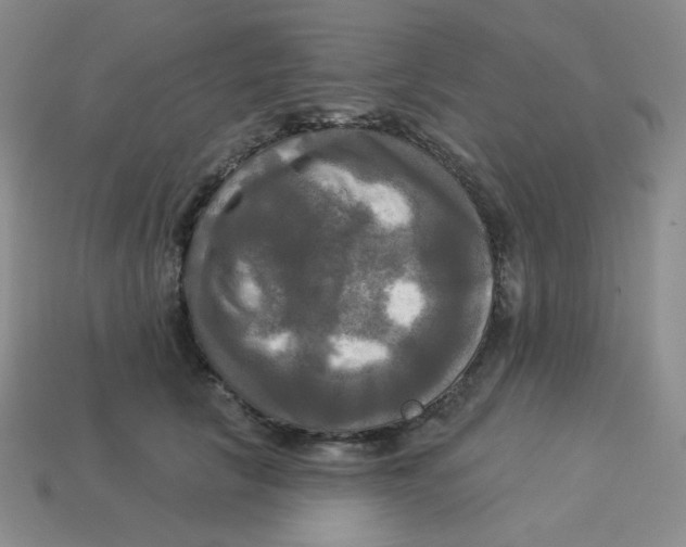 X0000113300657200910131048