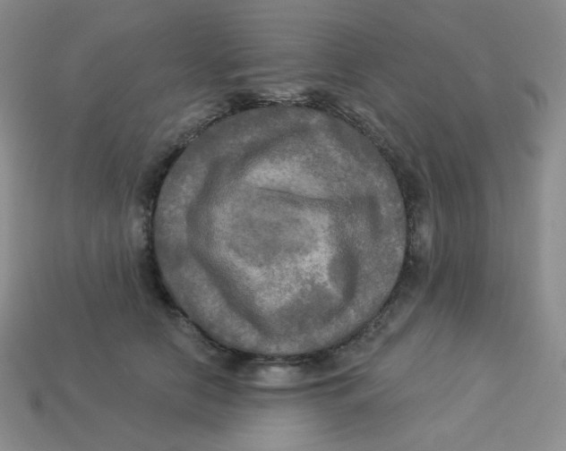 X0000113300658200910131048