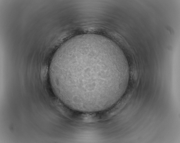 X0000113300660200910131048