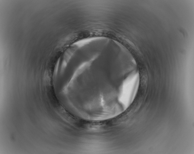 X0000113300661200910131048