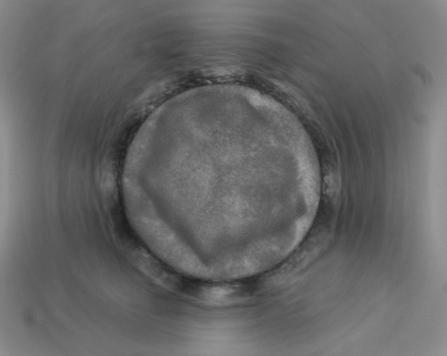 X0000113300662200910131048