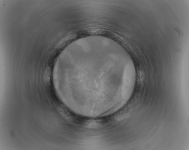 X0000113300664200910131048