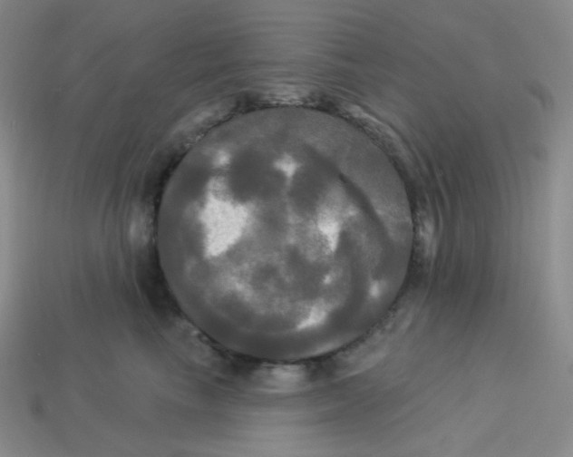X0000113300665200910131048