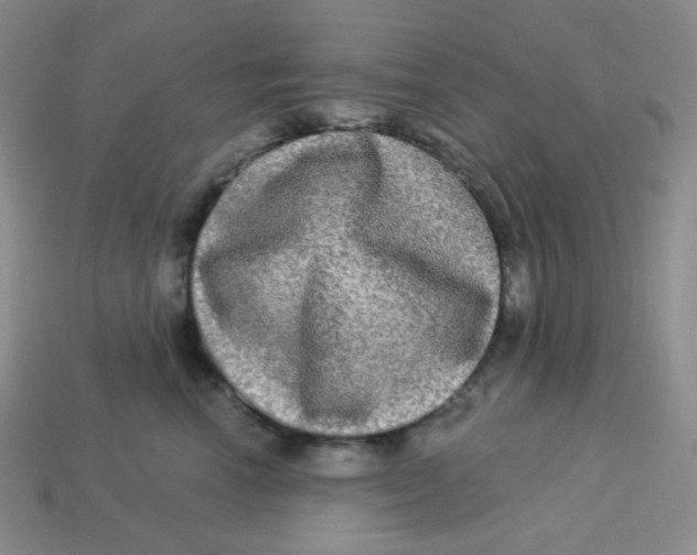 X0000113300666200910131048