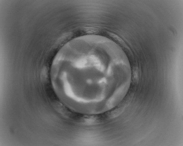 X0000113300667200910131048