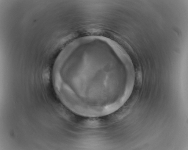 X0000113300668200910131048