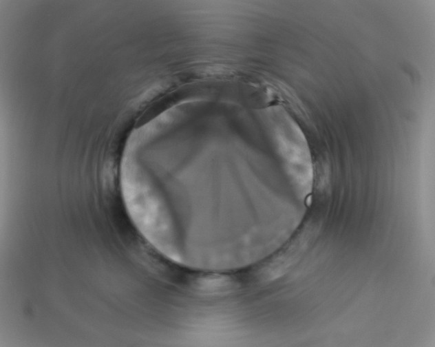 X0000113300669200910131048