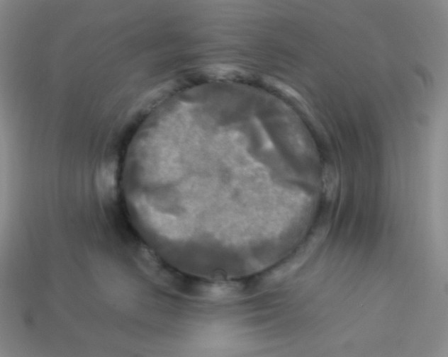 X0000113300670200910131048