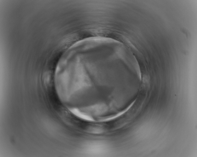 X0000113300671200910131048