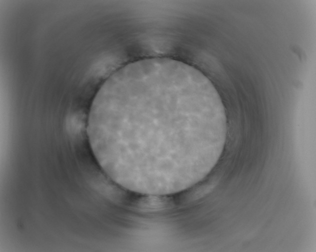 X0000113300672200910131048