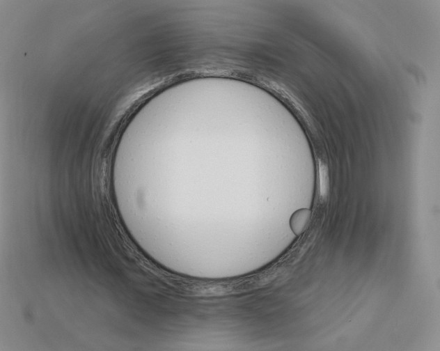 X0000113300675200910131048