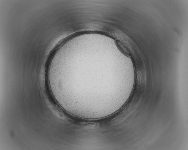 X0000113300676200910131048