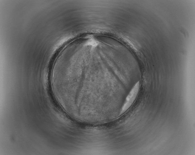 X0000113300679200910131048