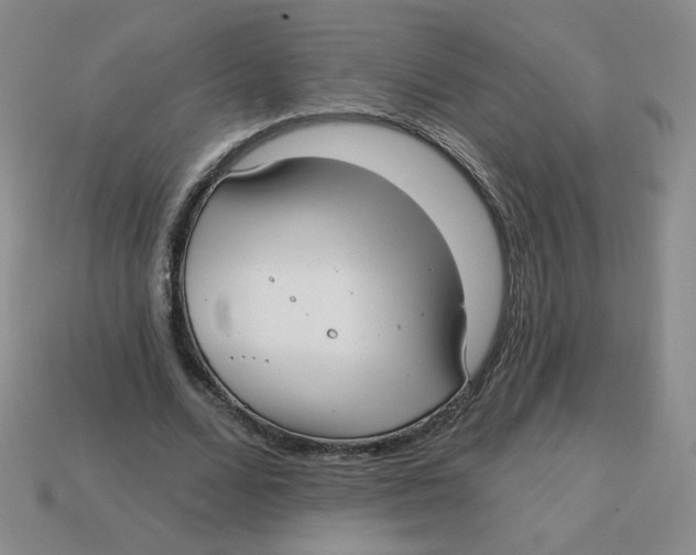 X0000113300680200910131048
