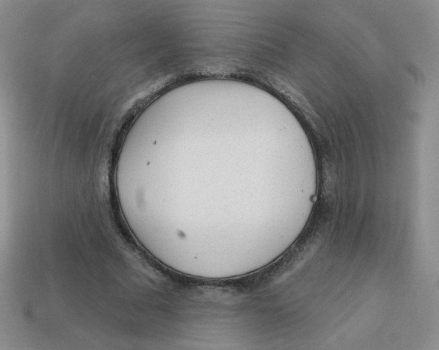 X0000113300681200910131048