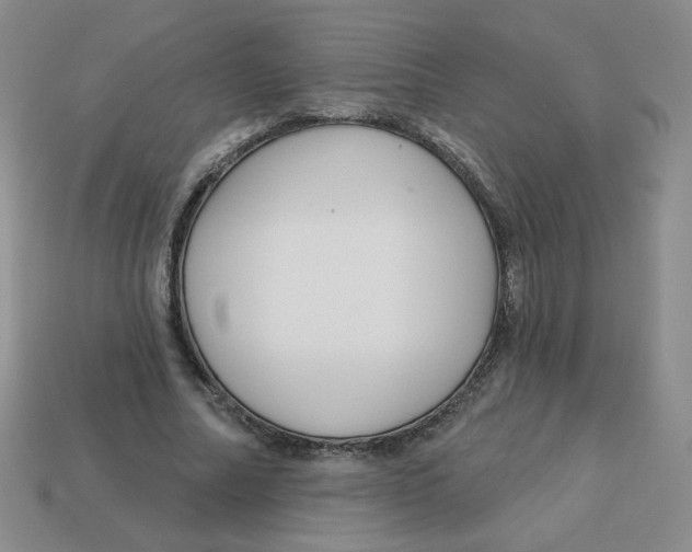 X0000113300682200910131048