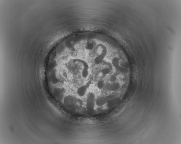 X0000113300683200910131048