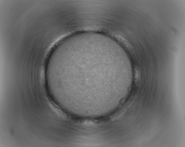 X0000113300684200910131048