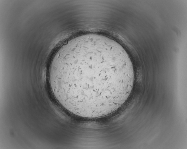 X0000113300685200910131048