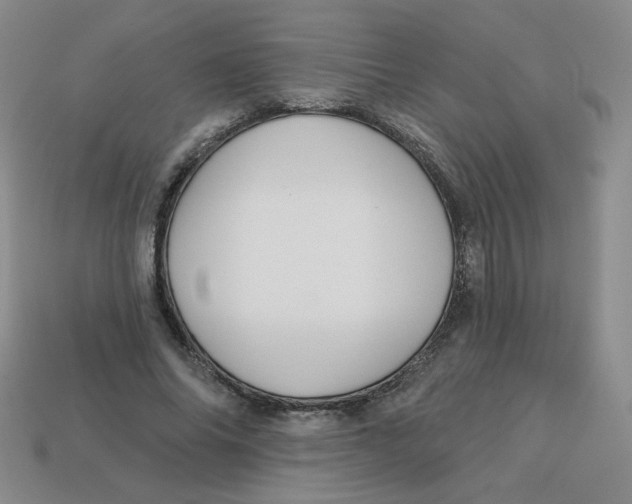 X0000113300686200910131048