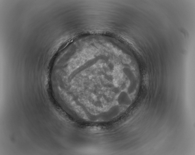 X0000113300687200910131048