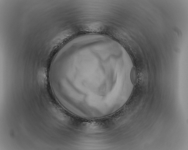X0000113300688200910131048