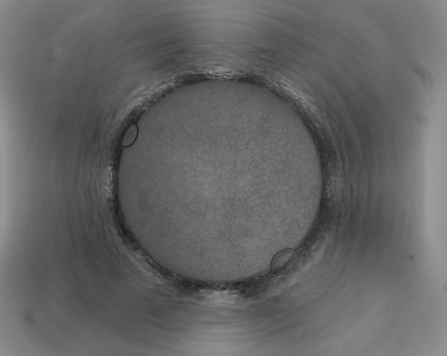 X0000113300689200910131048