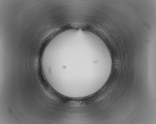 X0000113300690200910131048