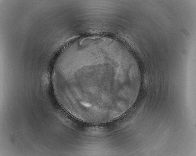 X0000113300691200910131048